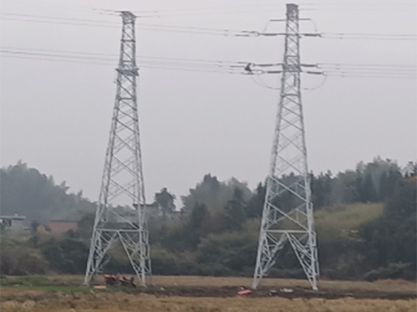 袁州区洪塘150MW农光互补光伏发电项目110kV外送线路工程